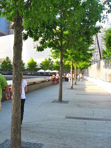 A line of trees circles the side of one of the recessed pools. Visitors to the memorial quietly contemplate the memorial.
