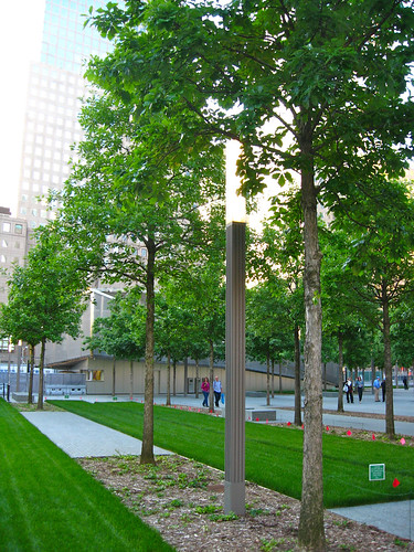 Trees and patches of green lawn. In the background are tall buildings.