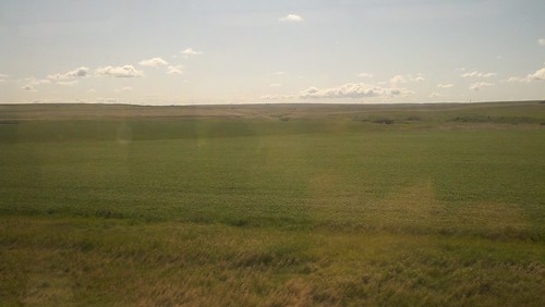 from the train #9 (east of Williston)