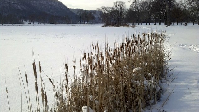 snow-covered, frozen lake Winona